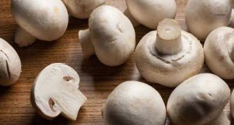 Рецепты приготовления теста и начинки для заливных пирогов с грибами